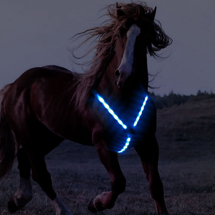 LED Cinch Cool Horse Harness Equipment Luminous Chest Strap